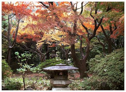 Aoyama Park in Tokyo