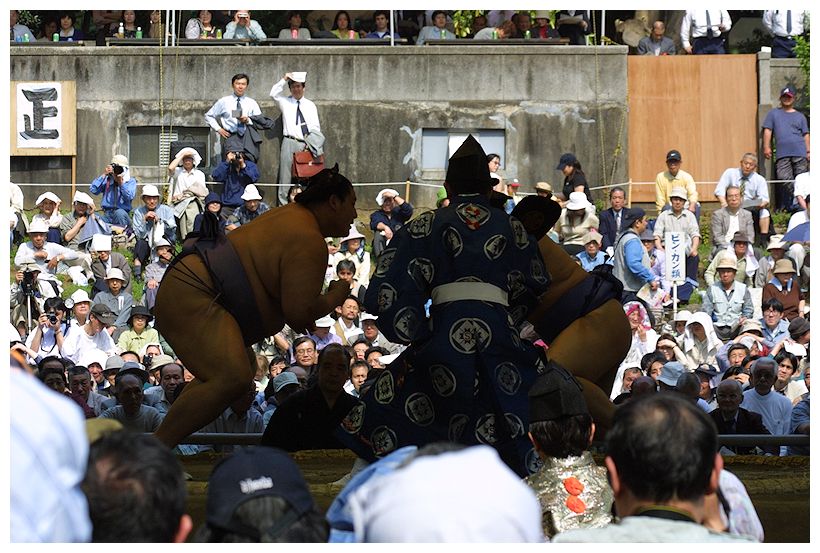 Sumo Wrestling