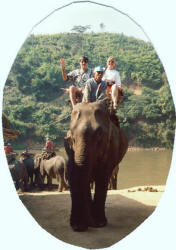 Riding Elephants in Nepal